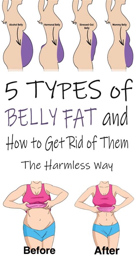 Belly Fat Guide For Dummies