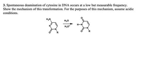 Solved 3. Spontaneous deamination of cytosine in DNA occurs | Chegg.com