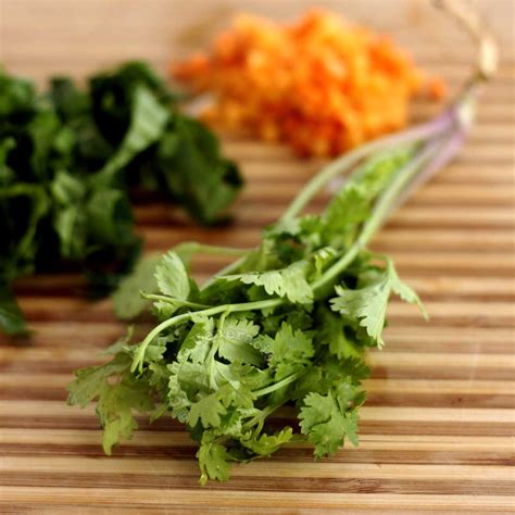 Coriander Vs Cilantro: What Are The Differences And, 59% OFF