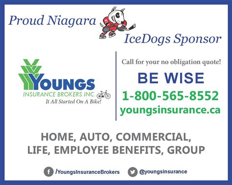 Community Sponsor Ice Dogs | Youngs Insurance | Niagara