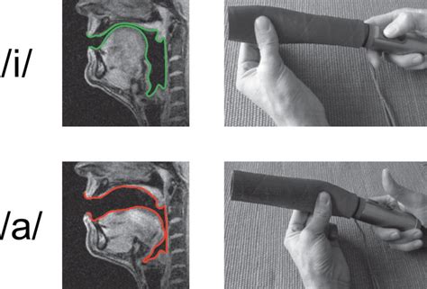 Comparison of natural vocal tract and the artificial vocal tract during ...