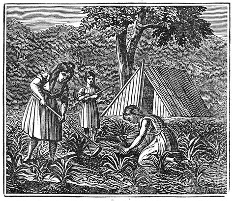 Native American Women Farming, 1835 Photograph by Granger - Pixels