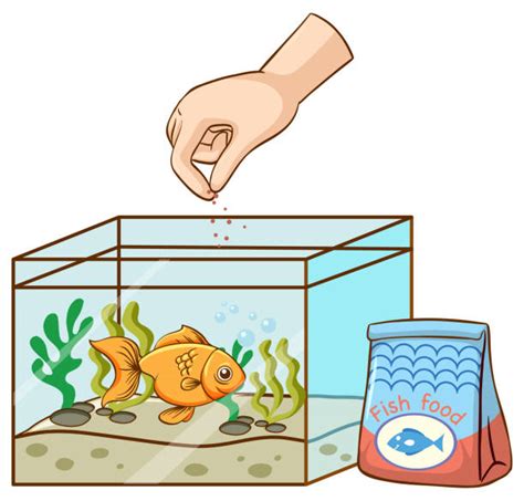 Feeding Fish Clipart