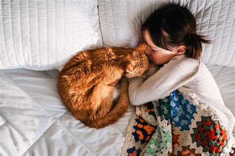 Should You Let Your Cat Sleep in Your Bed? | Reader's Digest