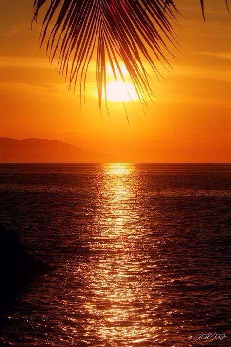 Puerto vallarta | Beautiful sunset, Beautiful sunrise, Sunrise