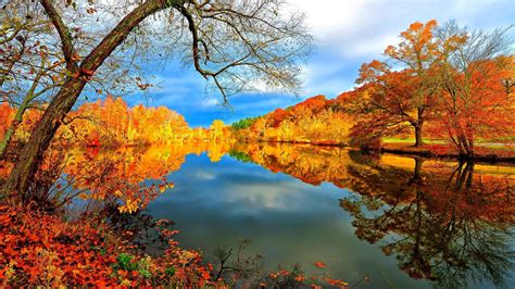 Download Serene Fall Lake Scenery Wallpaper | Wallpapers.com