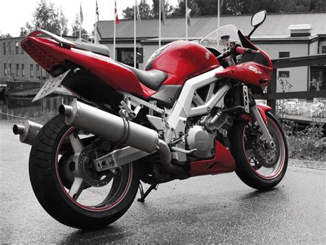 Suzuki SV1000 Black & white red version | Flickr - Photo Sharing!