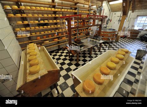 Old Dutch cheese factory Zaanse Schans Zaandam near Amsterdam Holland Stock Photo, Royalty Free ...