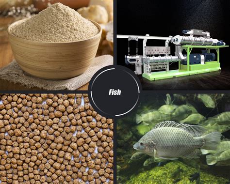 Fish Feed Pellets Production Line & Technology | RICHI