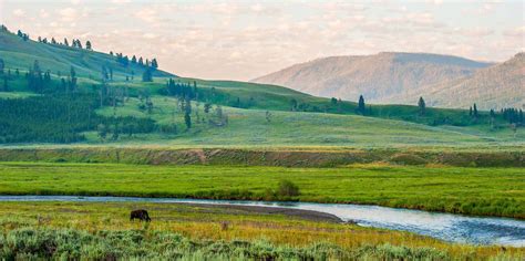 The BEST Lamar Valley Winter activities 2023 - FREE Cancellation ...