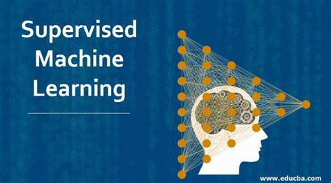 Supervised Machine Learning | Working & Top 5 Useful Algorithms