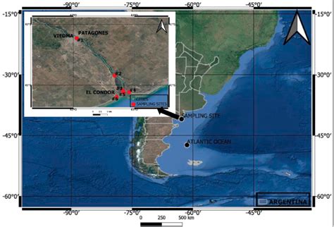 Location map of the study area within the lower course of the Negro ...