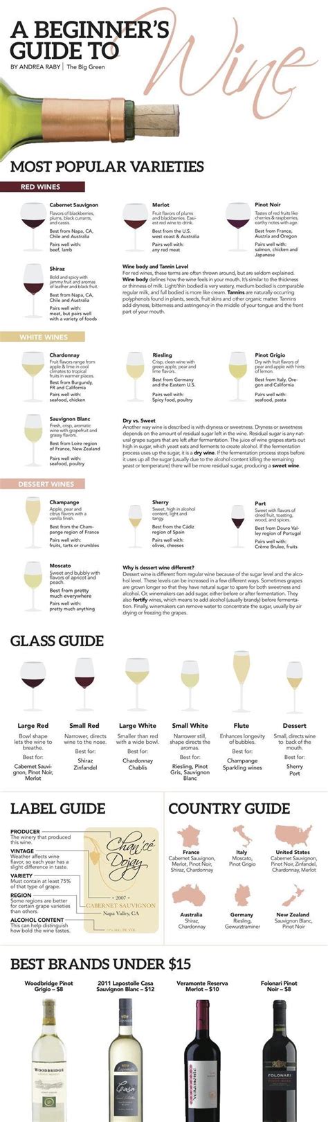 Beginner's Guide to Wine : r/coolguides