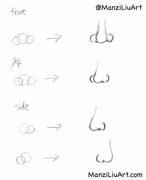 How To Draw A Nose Step By Step