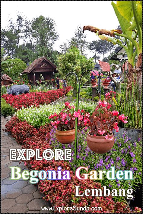 The Begonia Garden in Maribaya, Lembang Bandung