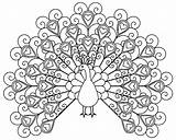 Peacock coloring Page For Kids  Coloring Pages sketch template