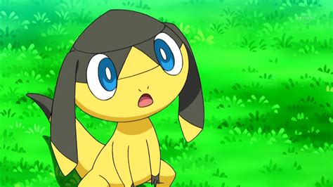 Alexa's Helioptile (anime) | Pokémon Wiki | FANDOM powered by Wikia