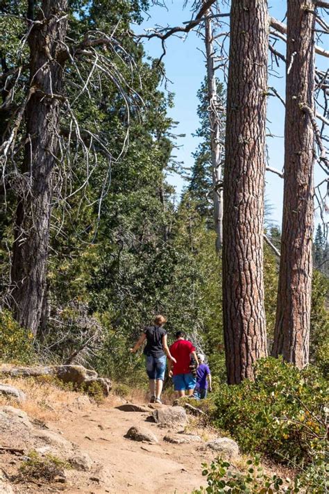 A Complete Guide to Hiking Moro Rock in Sequoia Park - Roads and Destinations