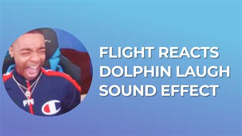 Flight Reacts Dolphin Laugh Sound Effect - Sound Effect MP3 Download