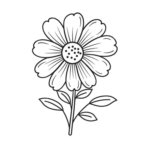 For Flower Illustrative Vector Image Vector Flower Flowers Coloring Outline Sketch Drawing ...