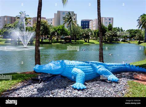 Frost museum art miami hi-res stock photography and images - Alamy