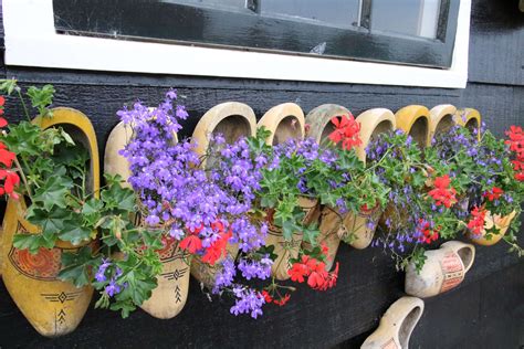 clogs, dutch, flower pots, flowers, hanging flowers, holland, malva, netherlands, purple, red ...