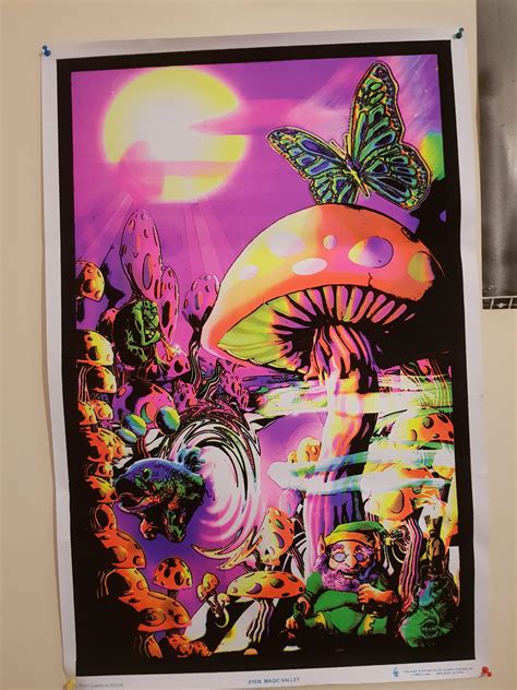 My Psychedelic Shroom Poster ^-^ : r/shrooms