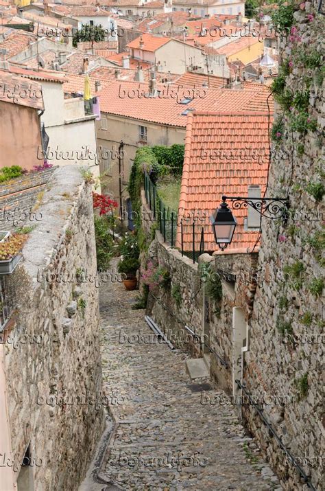 Image Old town, Hyères, France - 533108 - Images of Plants and Gardens ...