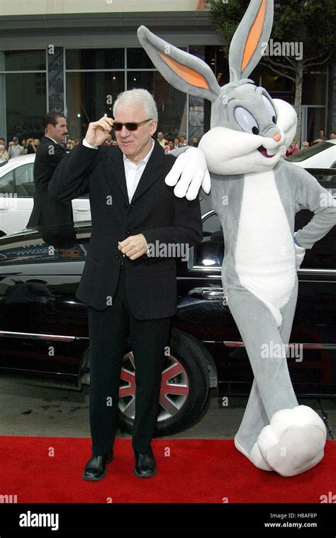 Steve martin looney tunes hi-res stock photography and images - Alamy