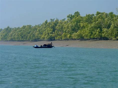 UNESCO World Heritage Site,Sundarban,WestBengal | Delightful Destinations