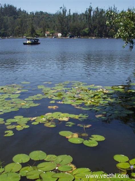 Kodaikanal Lake | Veethi