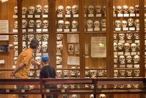 UncoveringPA | Visiting the Mütter Museum: Philly's Most Macabre Museum ...