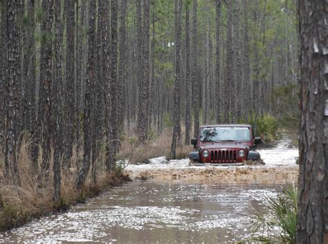 Osceola National Forest - FL - Jeep Wrangler Forum