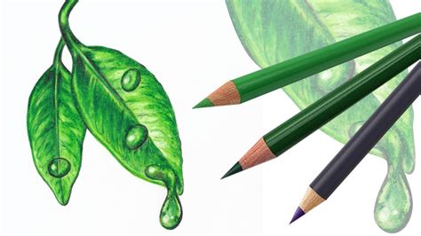how to draw leaves with colored pencils - rusticweddingoutfitguestwomen