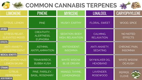 Printable Terpenes Cannabinoids Chart