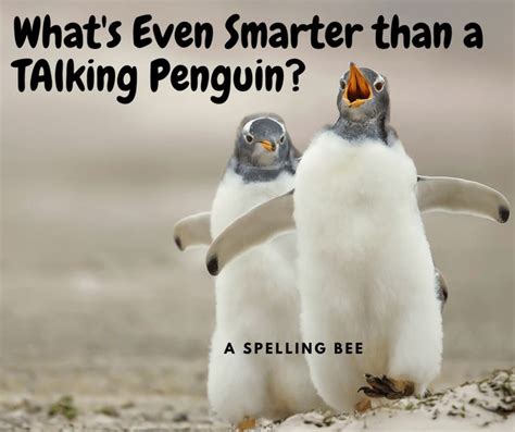 10 Fun Penquin Jokes | I Love Penguins