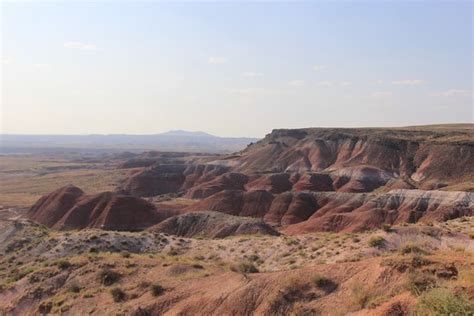 Petrified Forest National Park (Holbrook) - 2020 All You Need to Know ...