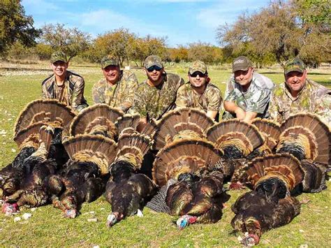 Turkey Hunting | 60+ Species Available for Hunt | Ox Ranch | Texas