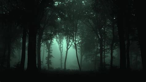 🔥 Download Dark Forest Wallpaper High Resolution Background HD by ...