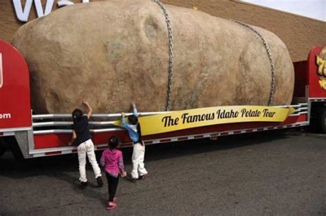 Giant Idaho potato breaking the spud limit in Colorado – The Denver Post