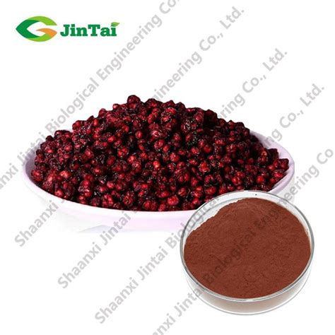 Schizandra Berry Fruit Extract/Schisandra chinensis extract powder with schizandrin 3% ...