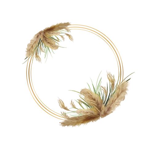 Pampa Grass White Transparent, Pampas Grass Border Watercolor Wedding Botanical Round, Pampas ...