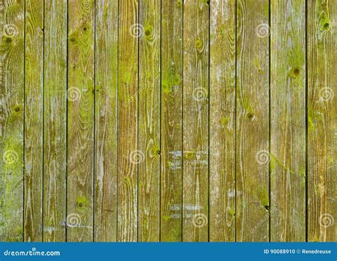 Natural Barn Wood Wall Covered with Green Moss or Lichen. Stock Photo - Image of construction ...