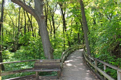 Frolicking in the Fontenelle Forest | Our Next Adventure