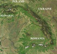 Carpathian Mountains Fossils Site