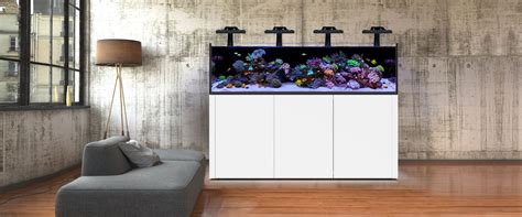 Waterbox Aquariums - Freshwater and Saltwater Aquarium Systems