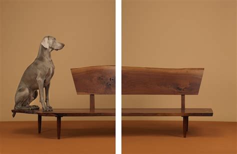 WILLIAM WEGMAN - Artists - Marc Selwyn Fine Art