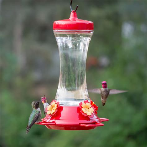 Perky-Pet® Adjustable Perch Glass Hummingbird Feeder Model # 476-3 ...