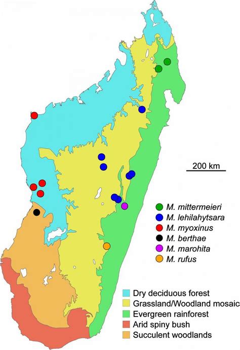 Madagascar rainforest map - Map of Madagascar rainforest (Eastern ...