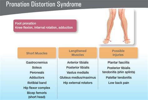 pronation distortion posture - Google Search | Patellar tendonitis, Gluteus medius, Pronation